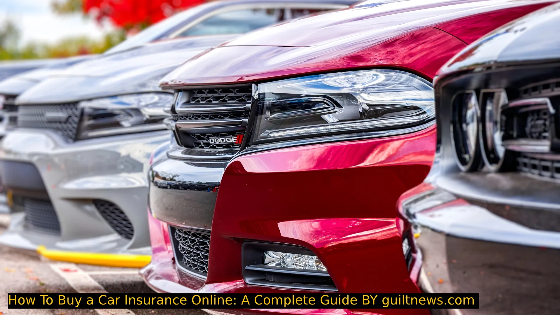 How To Buy a Car Insurance Online: A Complete Guide